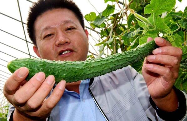 生鮮食材配送為什么大多不能與客戶建立長(zhǎng)期合作？